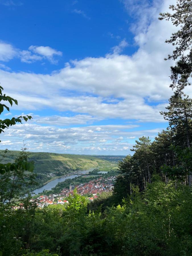 Maindrei - Schlafen Am Fluss Otel Margetshöchheim Dış mekan fotoğraf